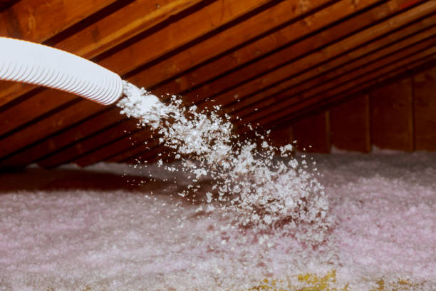 Best Energy Efficiency Solutions in Federal Y, WA