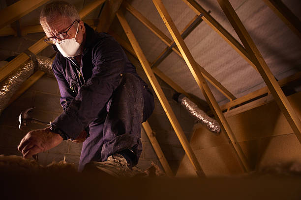 Best Residential Insulation in Federal Y, WA